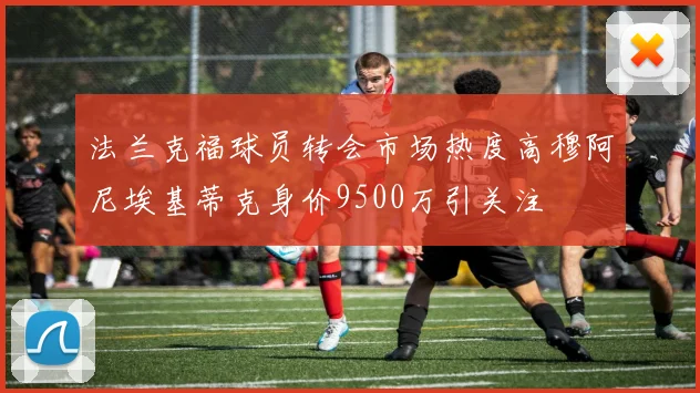 法兰克福球员转会市场热度高穆阿尼埃基蒂克身价9500万引关注