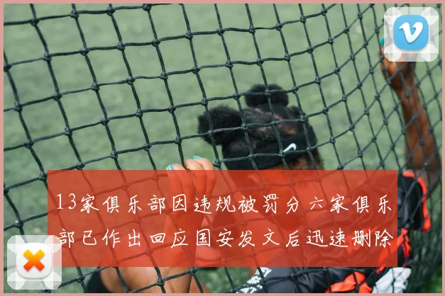 13家俱乐部因违规被罚分六家俱乐部已作出回应国安发文后迅速删除引发关注
