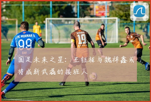 国足未来之星：王钰栋与魏祥鑫或将成新武磊的接班人