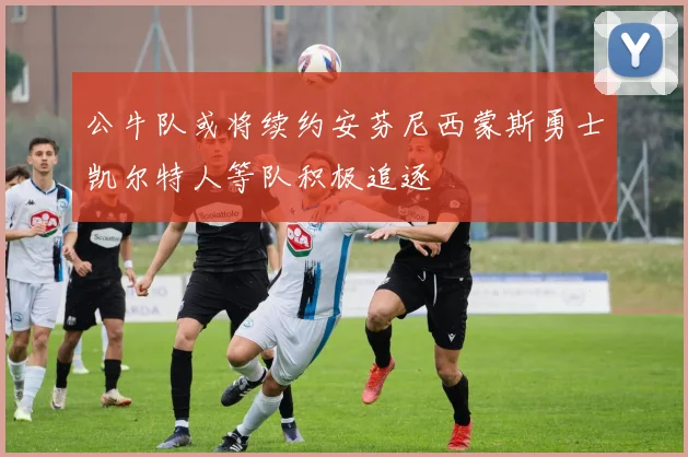 公牛队或将续约安芬尼西蒙斯勇士凯尔特人等队积极追逐