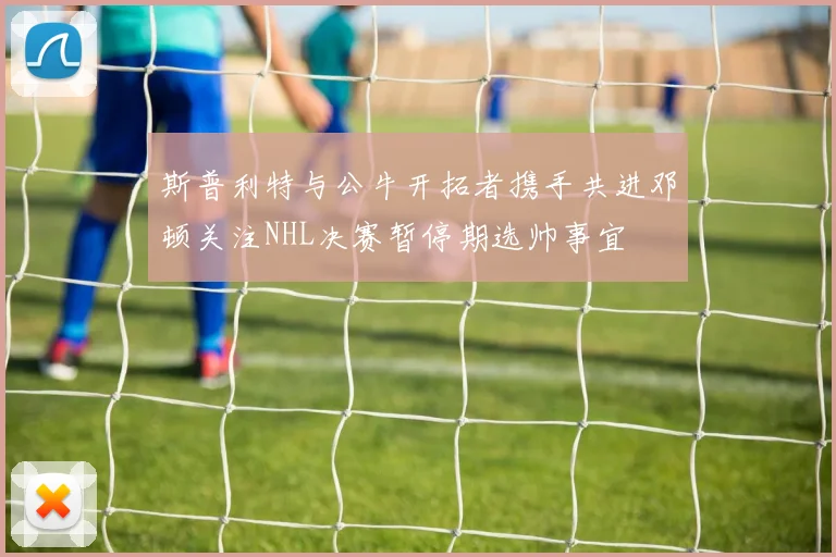 斯普利特与公牛开拓者携手共进邓顿关注NHL决赛暂停期选帅事宜
