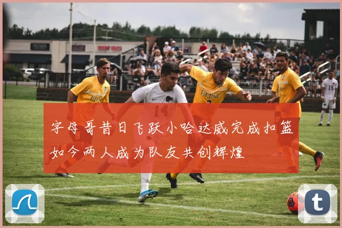 字母哥昔日飞跃小哈达威完成扣篮如今两人成为队友共创辉煌